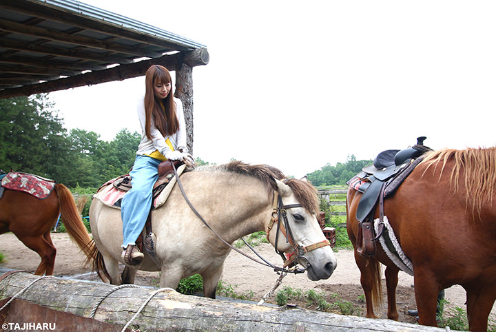 野生のキツネ 乗馬体験 フォトジェニックな北海道の大自然を満喫 びゅうたび