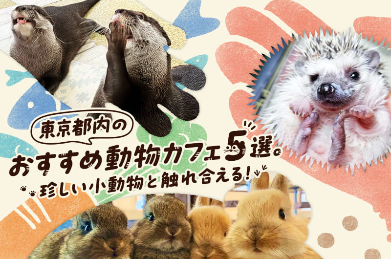 東京都内のおすすめ動物カフェ5選。珍しい小動物と触れ合える！
