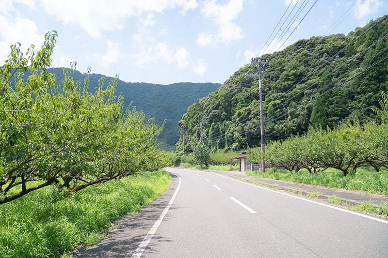 三方湖周辺の道路