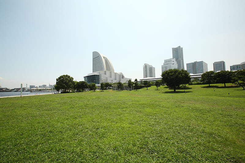 臨港パーク（写真提供：パシフィコ横浜）